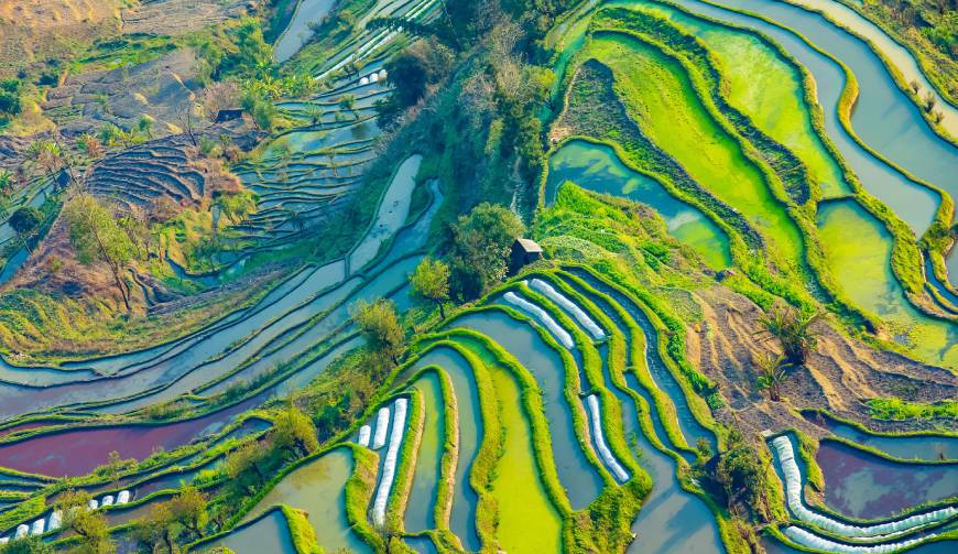 宝妈必备神器：麻山区产品视频拍摄轻松育儿好帮手
