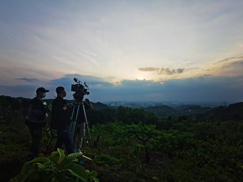 聚焦麻山区产品宣传视频拍摄公司，用专业实力铸就品牌传播传奇