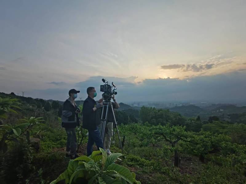 创意破圈！麻山区电商产品宣传视频用故事化叙事引爆流量