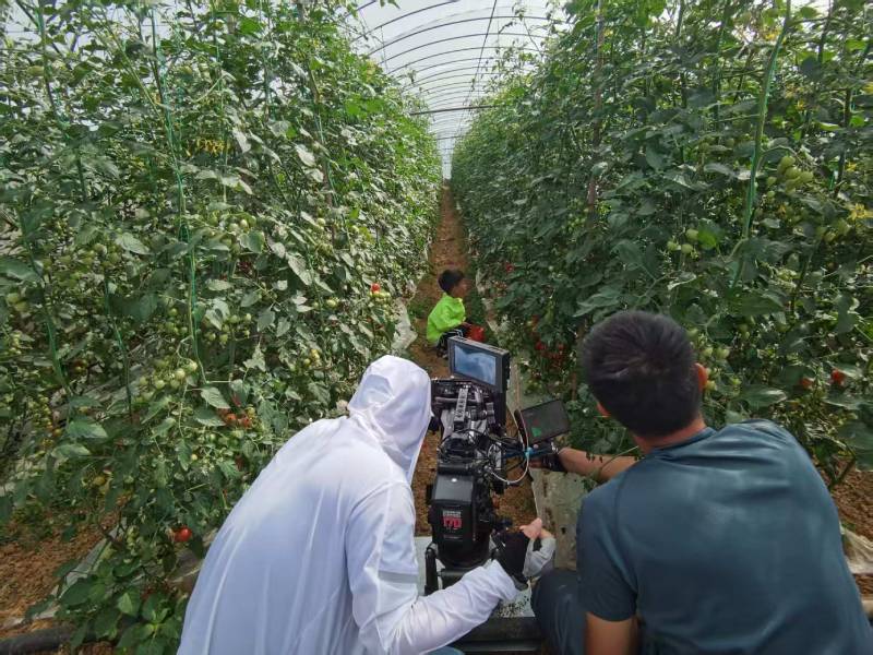 麻山区产品宣传视频拍摄公司进阶指南，助力品牌抢占传播高地